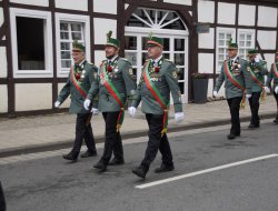 sf sonntag 2025075